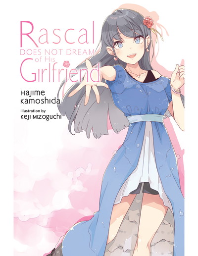Rascal Does Not Dream of His Girlfriend - Vol 14